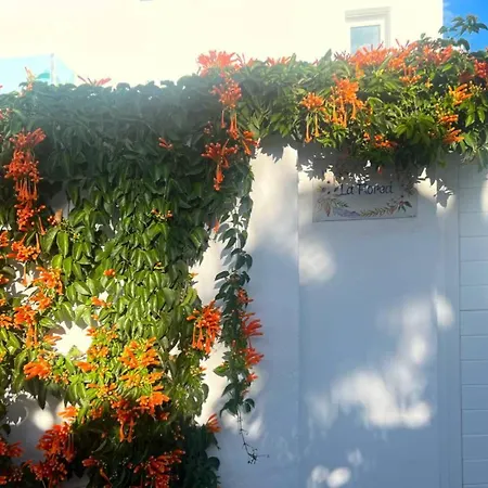 Apartment Casa Mijas - Hip Ingericht La Cala De Mijas